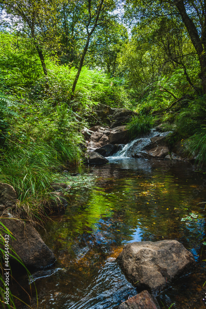 water flow on a mountain creek