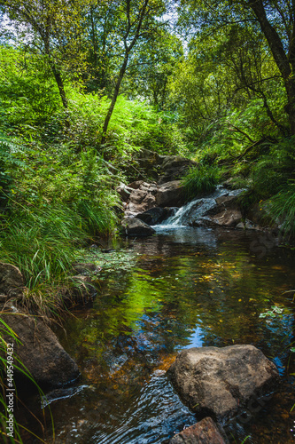 water flow on a mountain creek