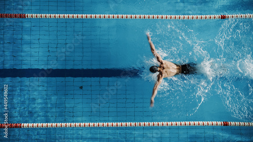 Obraz na płótnie Aerial Top View Male Swimmer Swimming in Swimming Pool