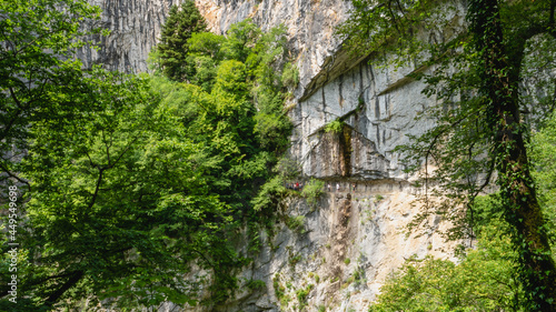 A path and a bridge in the area of ​​Skocjan Cave, Slovenia.