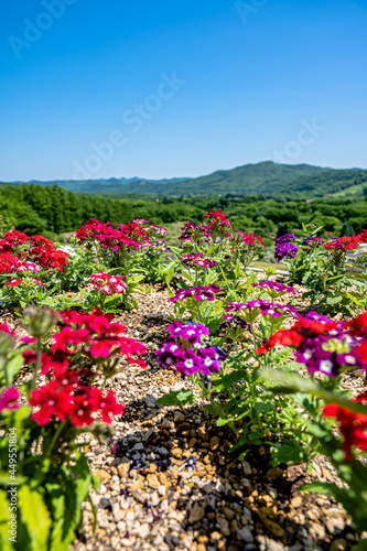 田舎の風景　山と花達 © YUTO PHOTOGRAPHER