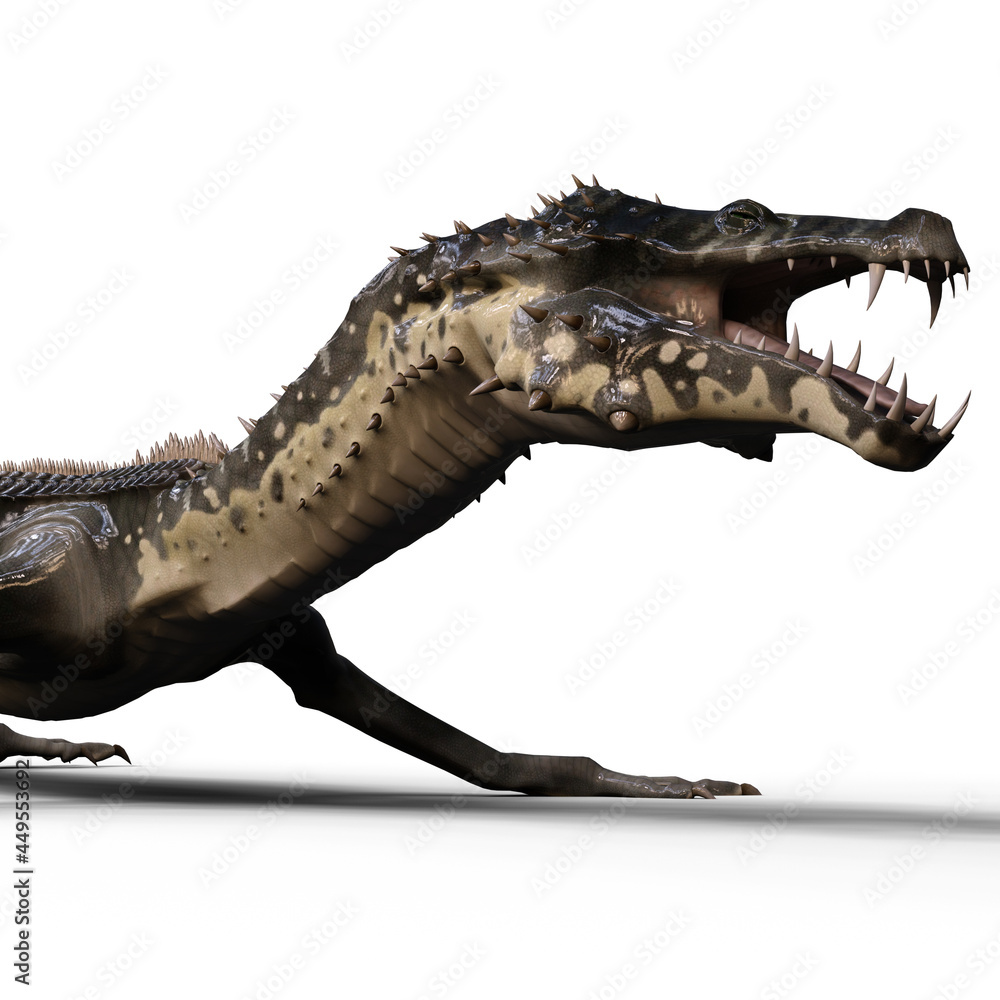 Fototapeta premium 3d-illustration of an isolated giant fantasy creature dragon