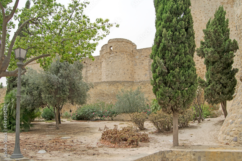 Trees in front of the Castillo de Santiago in Sanlucar de Barrameda, Cadiz, Andalusia, Spain