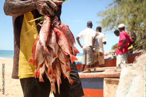 Local fisherman holding daily catch