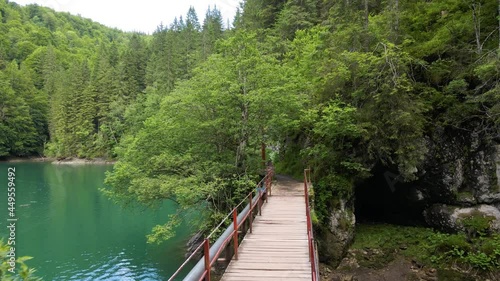 bridge over the river