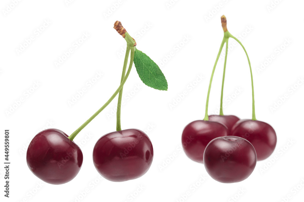 Berries cherries on a white background isolate close-up Berries cherries on a white background isolate close-up