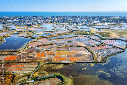 Tela Salt marshes of Guerande, France