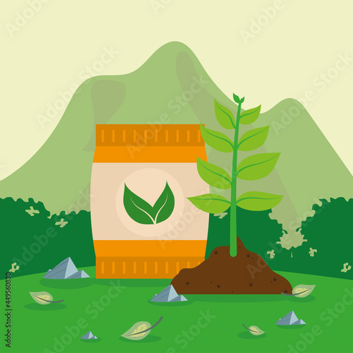 fertilizer and plant