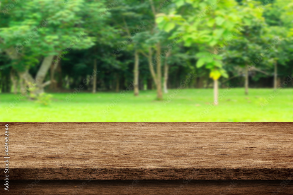 wooden bench in the park wooden bench in the park