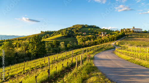 Spring sunset in the vineyards of Rosazzo