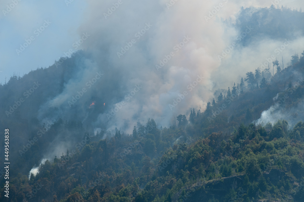 Fototapeta premium Incendios fire