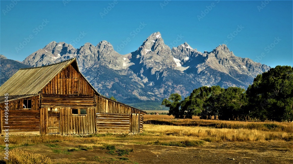 Grand Tetons Iconic View of Barn and Mountains