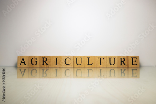The name Agriculture was created from wooden letter cubes. finance and economy.