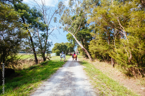 Wallpaper Mural Lilydale to Warburton Rail Trail in Australia Torontodigital.ca