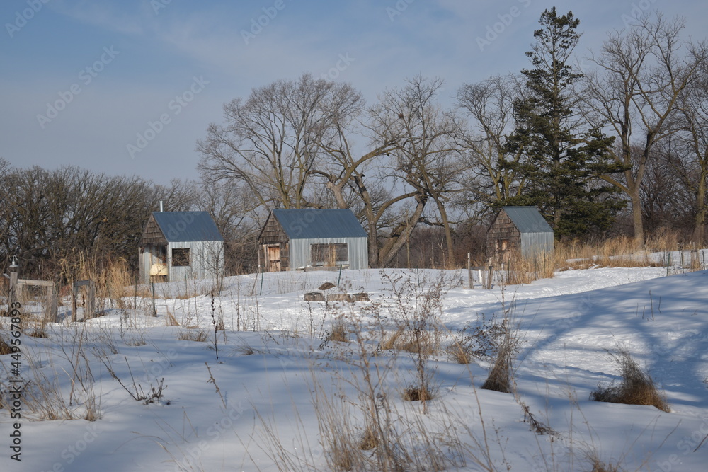 Frogtown Farms in Saint Paul Minnesota Frogtown Farms in Saint Paul Minnesota