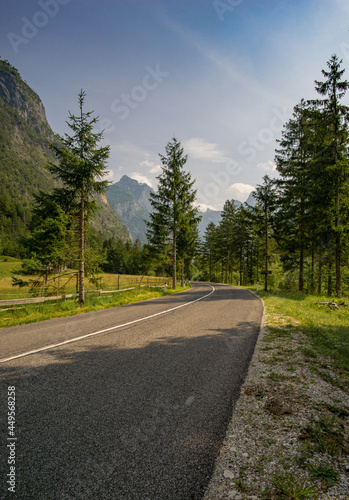 Straße in Slowenien im Sommer in den Alpen