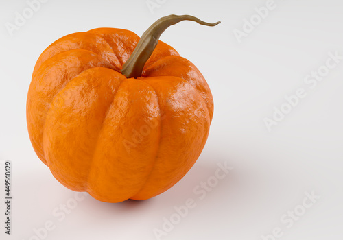 Pumpkin on white background...