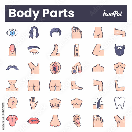 Human body parts anatomy