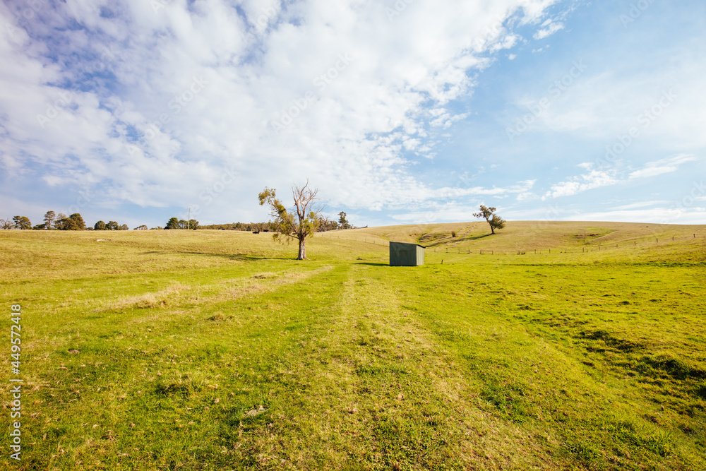Fototapeta premium Lilydale to Warburton Rail Trail Landscape in Australia