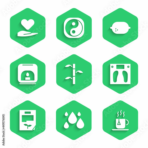 Set Bamboo stems with leaves, Water drop, Cup of tea tea bag, Bathroom scales, Leaf document, Aroma lamp, Lemon and Heart hand icon. Vector