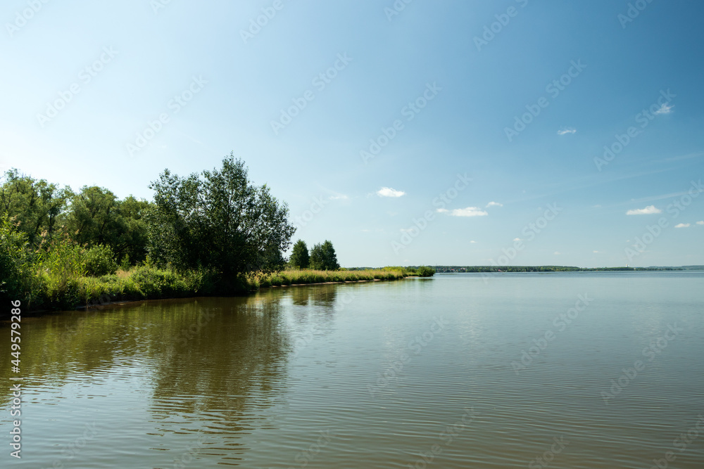 Trees growing on the shore of the lake against the background of the sky.
