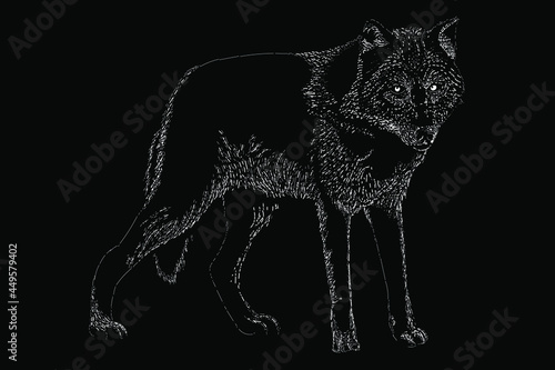 Obraz na plátně grey wolf scratch vector hand drawing illustration