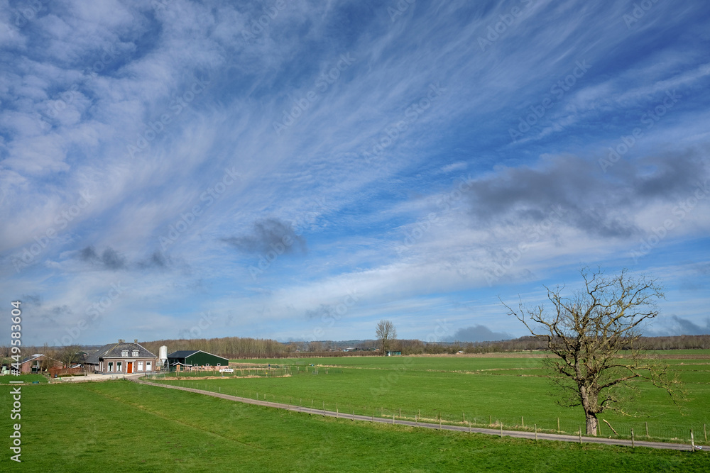 Naklejka premium Landscape near Amerongen, Utrecht Province, The Netherlands