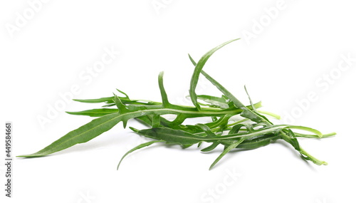 Fresh rocket or arugula green leaf isolated on white background and texture