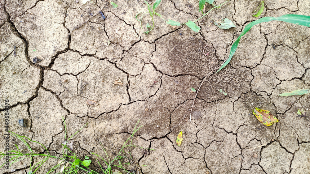 Fototapeta premium The cracked ground, the drought - background. Brown dry soil or cracked ground texture background. Dry and cracked land, dry due to lack of rain concept