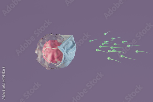 The sperm travels to the egg, which is protected by a medical mask. Concept of the impact of a pandemic on fertility. 3d rendering photo