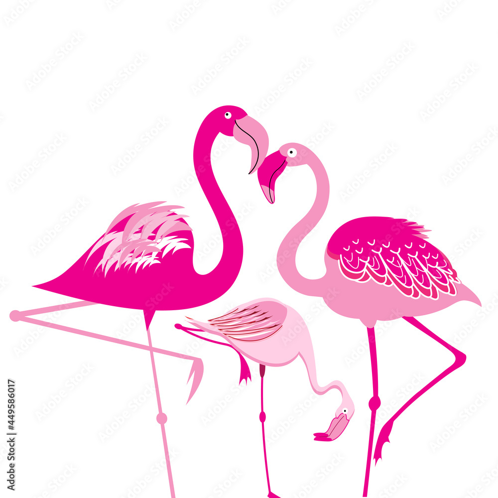 Pink vector flamingos on a white background Pink vector flamingos on a white background