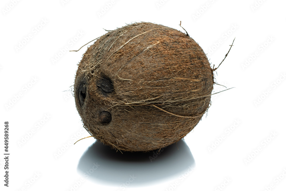 a whole coconut isolated on a white background without shadow a whole coconut isolated on a white background without shadow