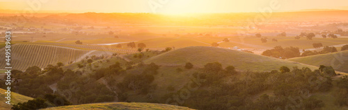 Konstfotografi Sunrise on the vine covered hills of Wine Country