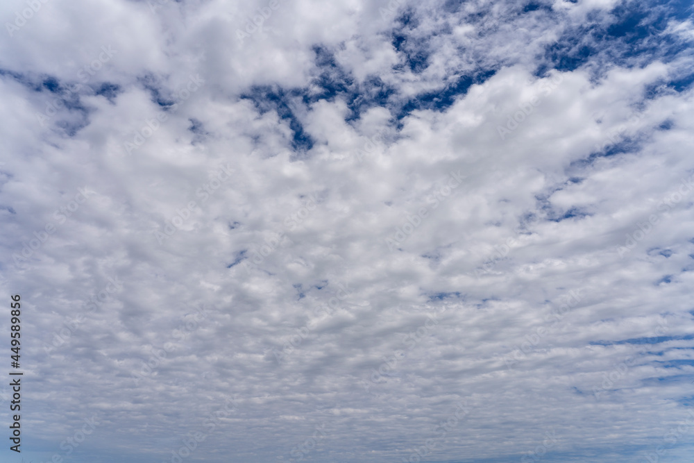 Fototapeta premium Spindrift clouds in the sky. Nature of the Ornithological Park of Pont de Gau. Camargue, France.