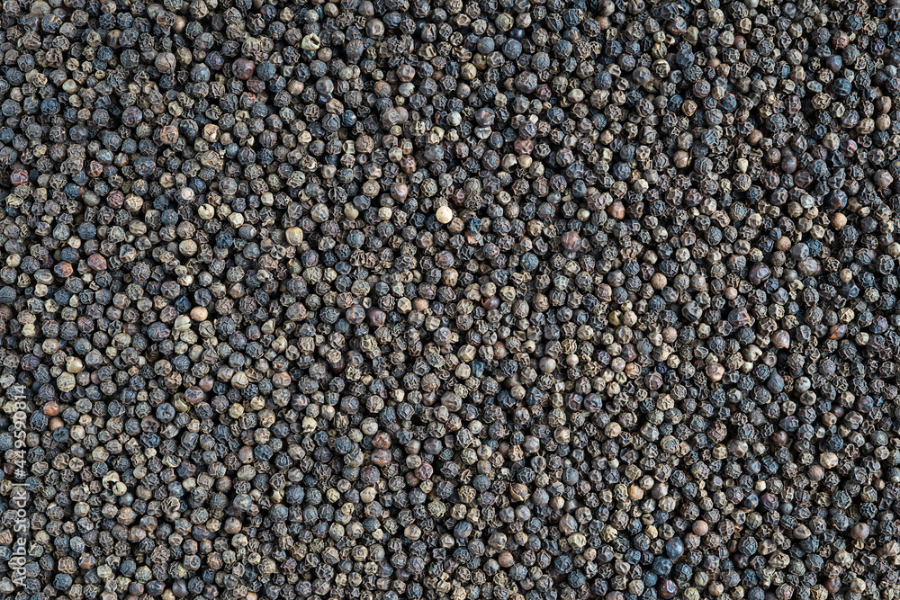 Backdrop made of top view of dried black pepper grains laying on background used in cooking and culinary as seasoning to enrich food flavour and make it spicy, also used in medicine and cosmetology Backdrop made of top view of dried black pepper grains laying on background used in cooking and culinary as seasoning to enrich food flavour and make it spicy, also used in medicine and cosmetology