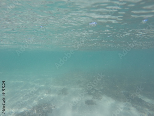 Ocean and fishes at Brazil Coast