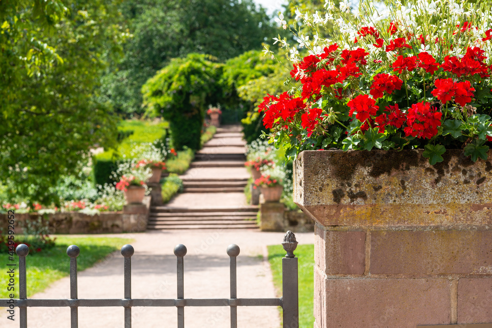Naklejka premium blumen park blumenpark parkanlage treppen gang