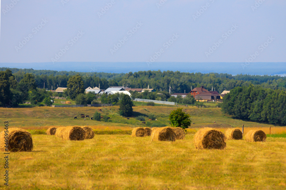 Rural landscape with fields, village houses and haystacks in the foreground. Rural life concept.