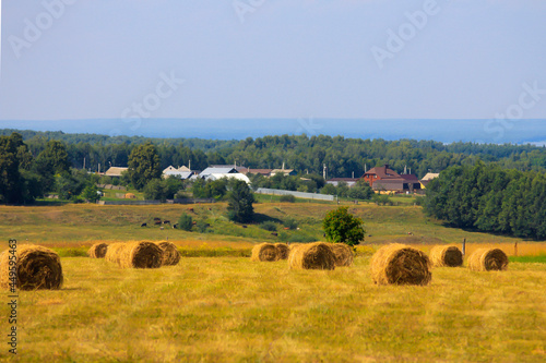 Rural landscape with fields, village houses and haystacks in the foreground. Rural life concept.