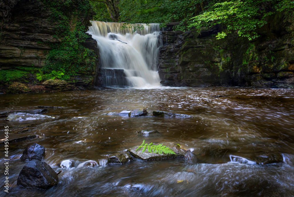 Waterfall at Neath Abbey Waterfall at Neath Abbey