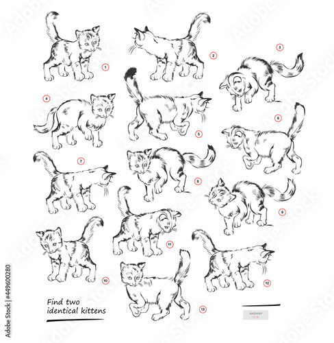 Logic puzzle game for children and adults. Find two identical kittens. Memory exercises for seniors. Page for brain teaser book. Kids activity sheet. IQ test. Play online. Vector illustration.