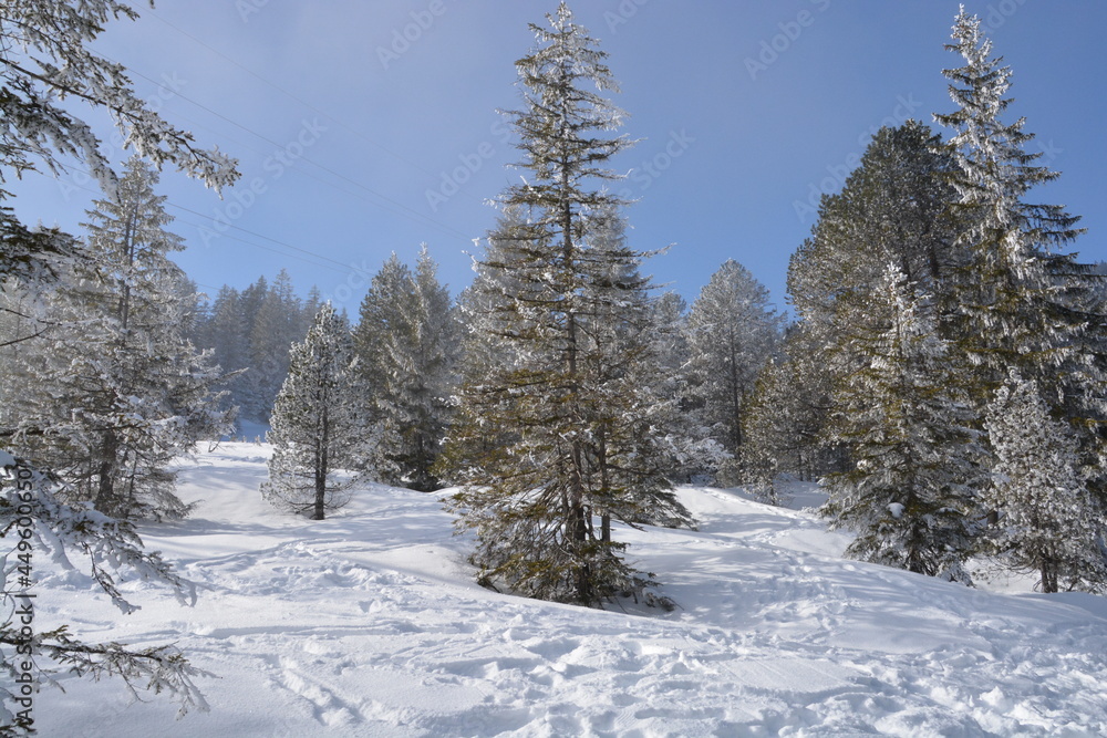 Fototapeta premium Winter in der Schweiz