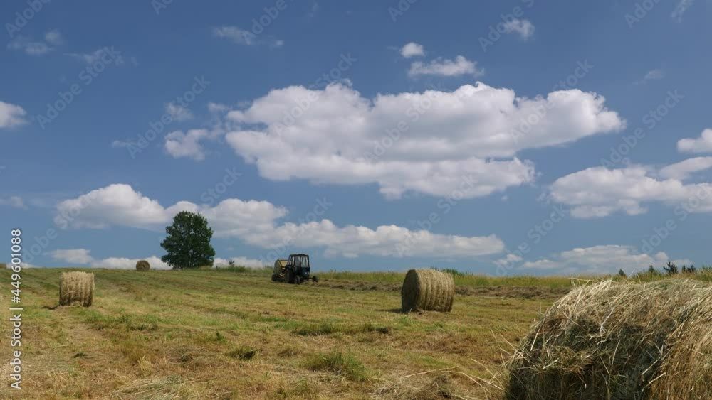 Video shot of seasonal work, agricultural tractor, feed preparation, harvesting feed for farm animals
Video shot of seasonal work, agricultural tractor, feed preparation, harvesting feed for farm animals