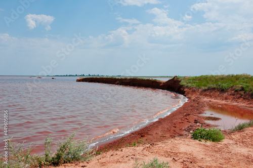 syvash pink lake water in sunny summer in ukraine photo