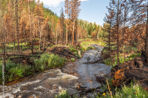 North Fork Big Thompson River