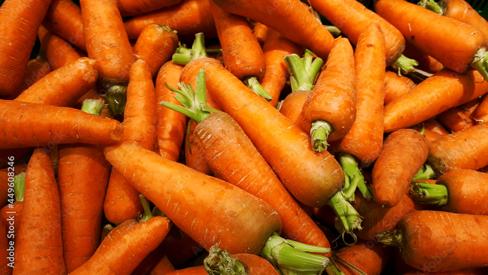 Group Of Carrots. Close-up Carrots Texture. Fresh Organic Carrots. Bunch Of Fresh Carrots Group Of Carrots. Close-up Carrots Texture. Fresh Organic Carrots. Bunch Of Fresh Carrots