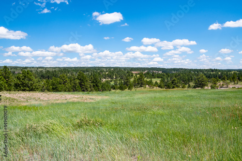 South Dakota open range west of Custer. 