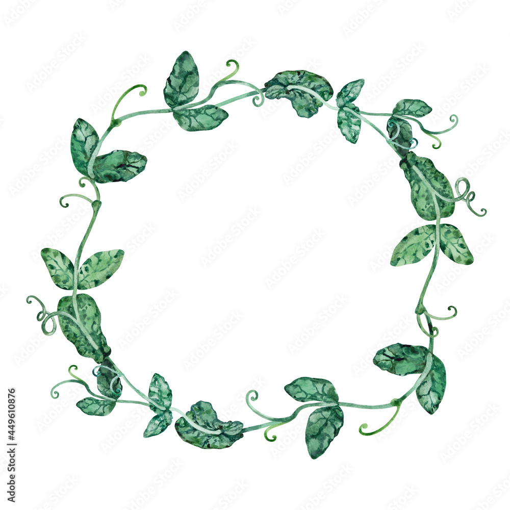 Fototapeta premium Watercolor wreath green bindweed frame