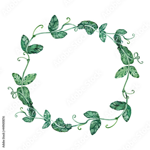Watercolor wreath green bindweed frame