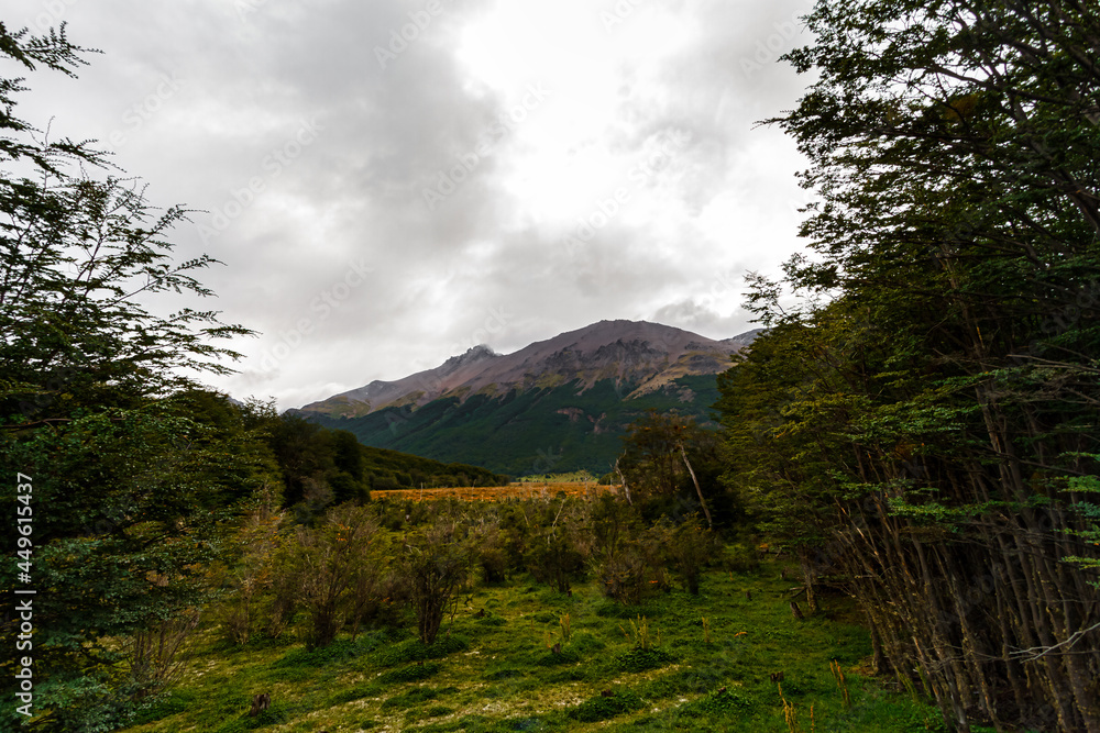 Fototapeta premium Wooded valley with hill in the background in Tierra del Fuego National Park (Ushuaia, Argentina)